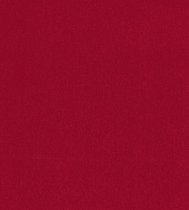 Alto Velvet Fabric by Thibaut Ruby