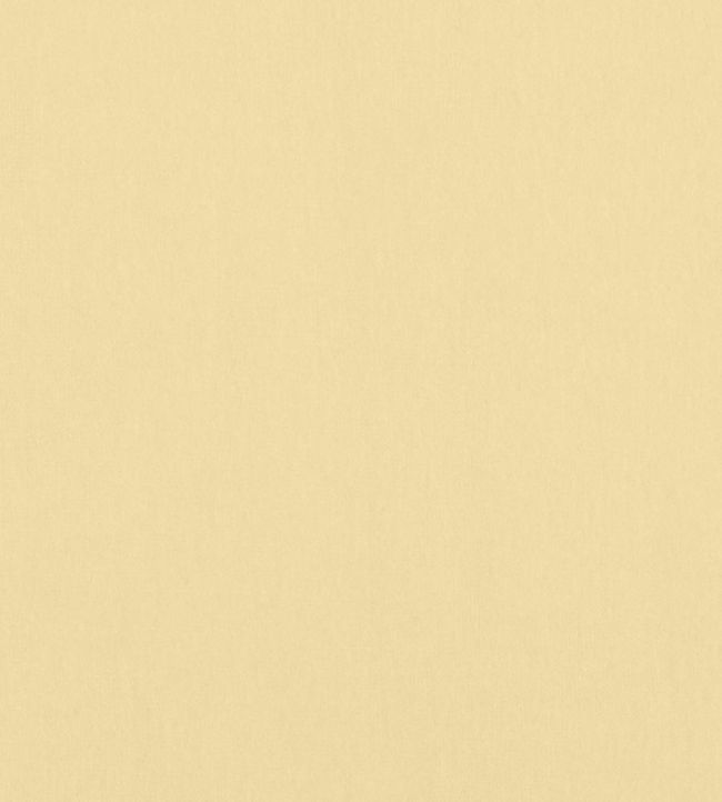 Alto Velvet Fabric by Thibaut Straw