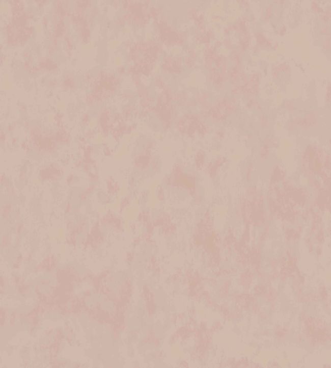 Alumina Wallpaper by Villa Nova Plaster