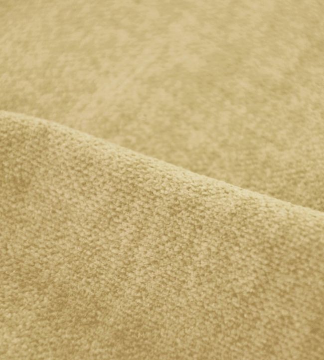 Amara FR Fabric by Casal Paille