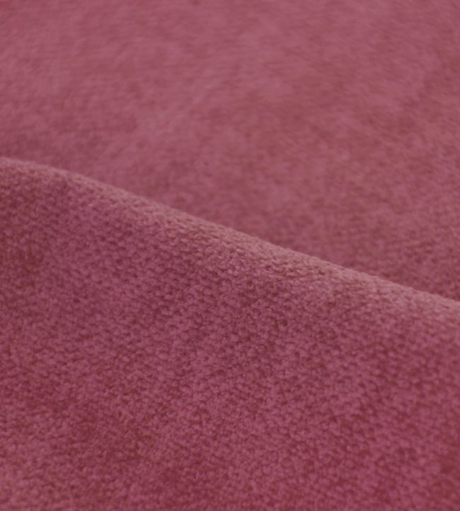 Amara FR Fabric by Casal Pivoine