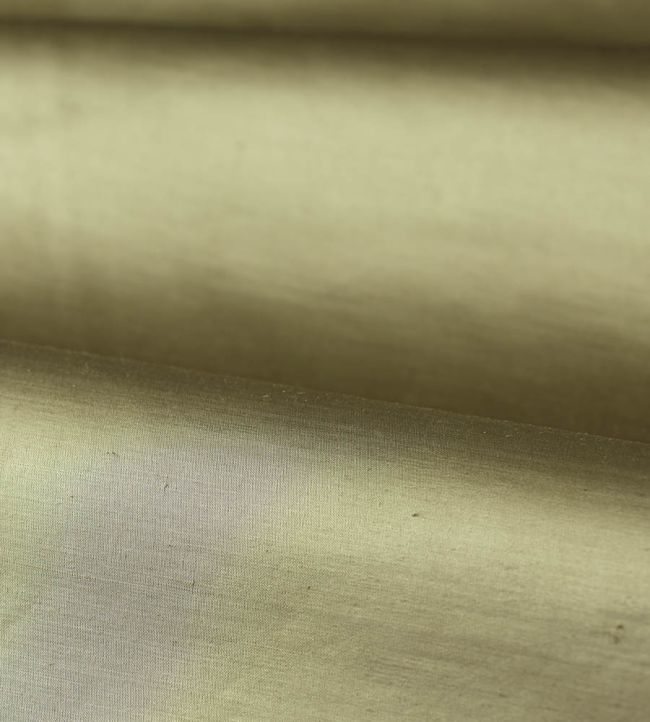 Amoret Performance Fabric by Zoffany Sage
