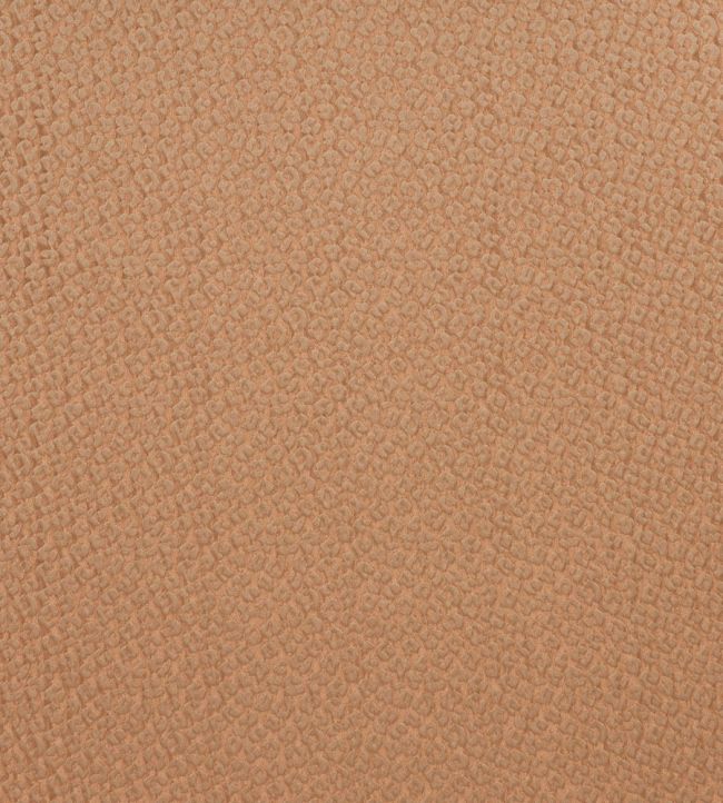 Amur Fabric by Kai Clay
