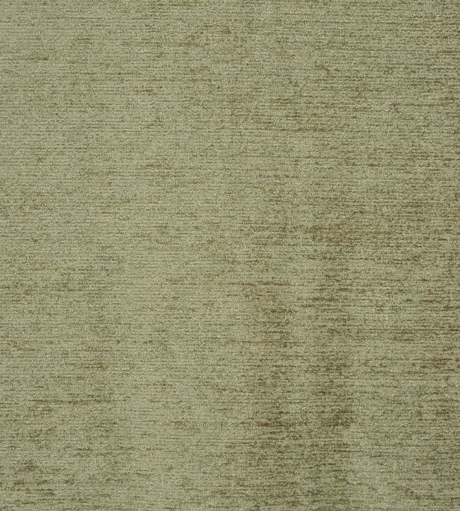Anderson Fabric by Prestigious Textiles Basil