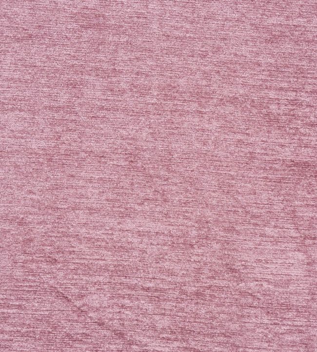 Anderson Fabric by Prestigious Textiles Rosebud