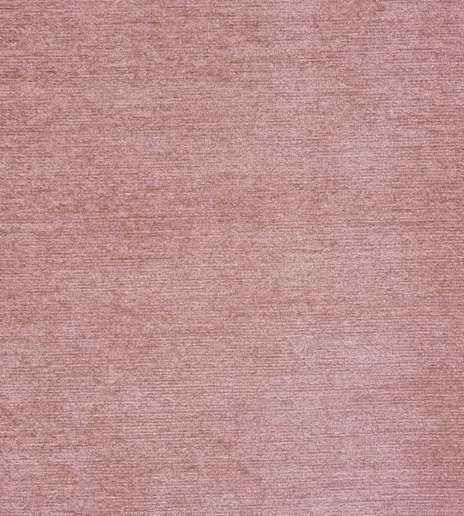 Anderson Fabric by Prestigious Textiles Shell