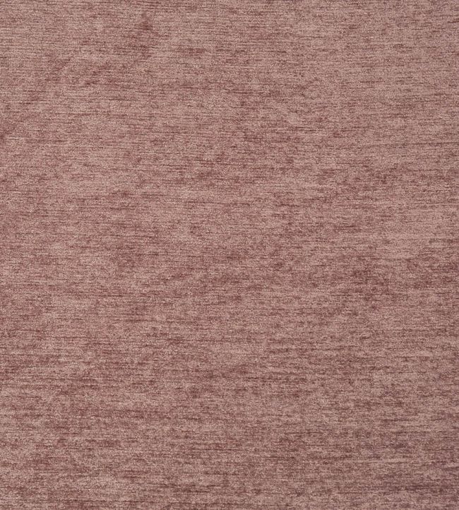 Anderson Fabric by Prestigious Textiles Thistle
