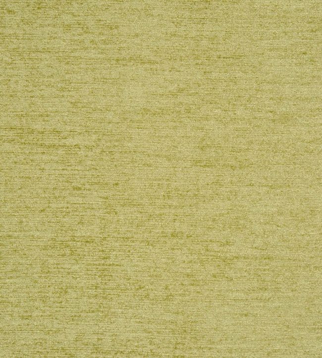 Anderson Fabric by Prestigious Textiles Wasabi