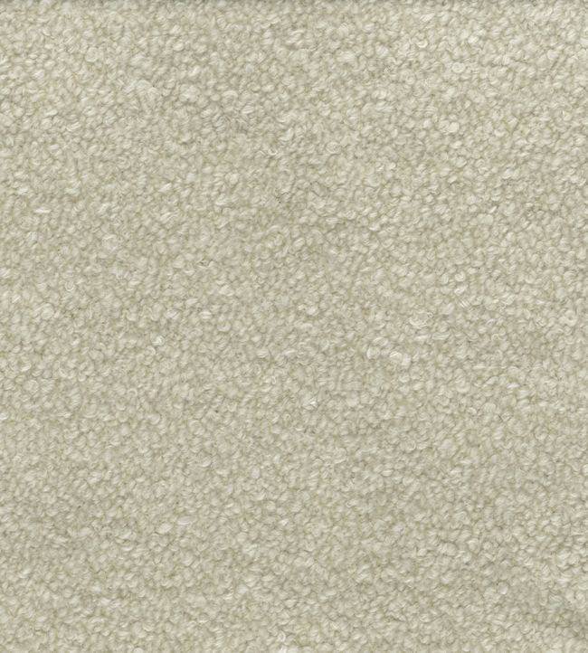 Andes Fabric by Osborne & Little Cream