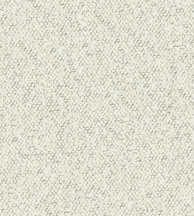 Andes Fabric by Warwick Ecru