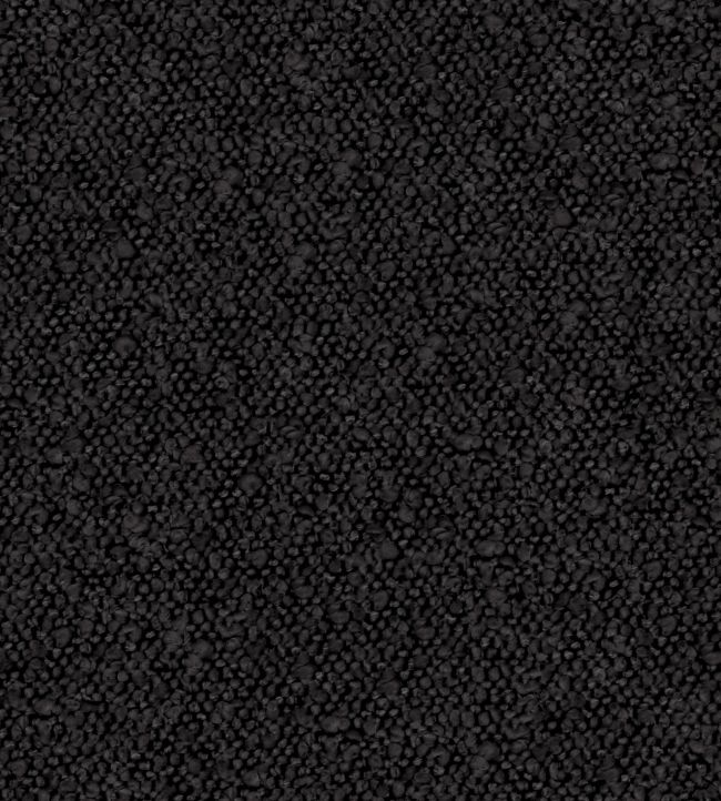 Andes Fabric by Warwick Onyx