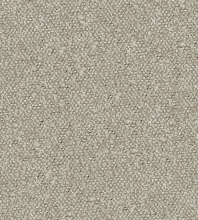 Andes Fabric by Warwick Pumice