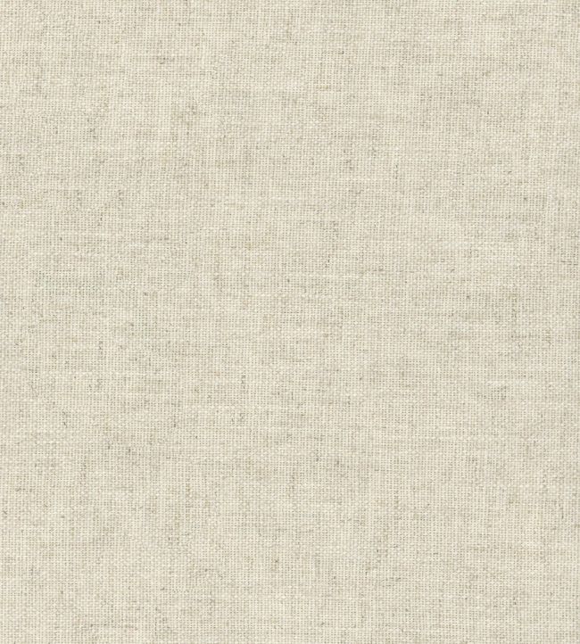 Trek Fabric by Andrew Martin Linen