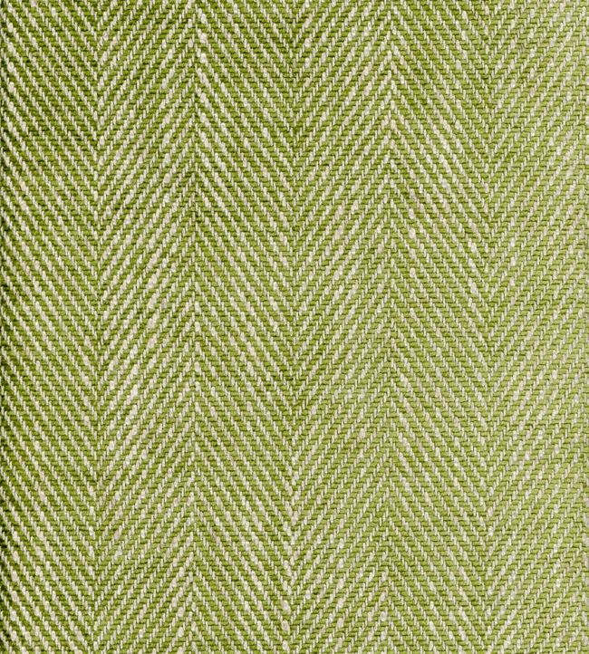 Summit Fabric by Andrew Martin Palm