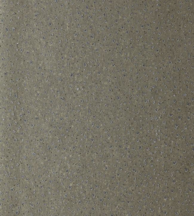 Anthology Foxy Wallpaper by Harlequin Graphite