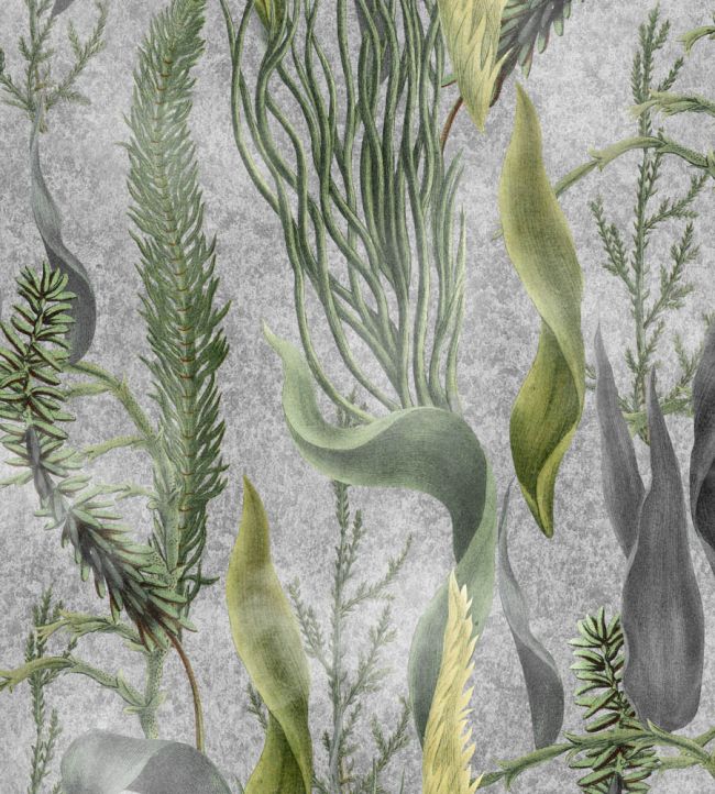 Aquatic Plants Wallpaper by MINDTHEGAP Grey