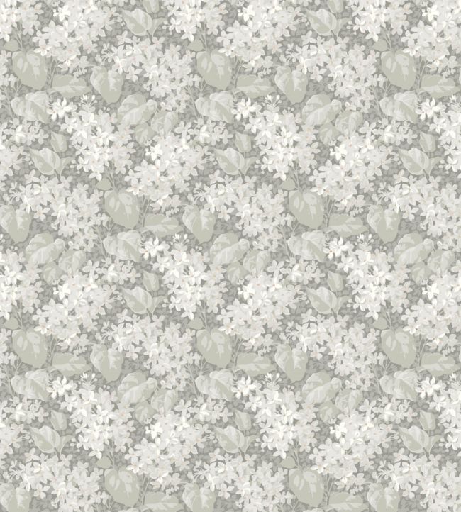 Aratorp Wallpaper by Borastapeter Neutral