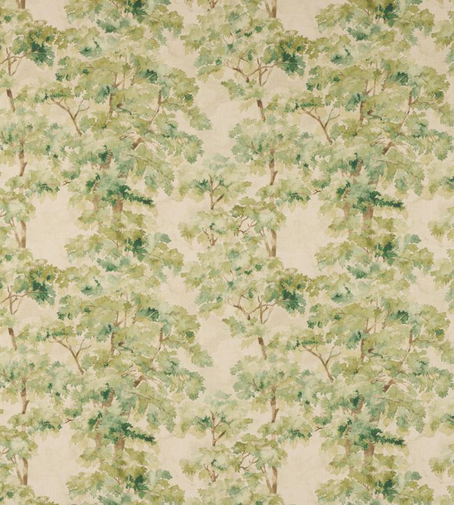 Arbour Fabric by Colefax and Fowler Leaf Green