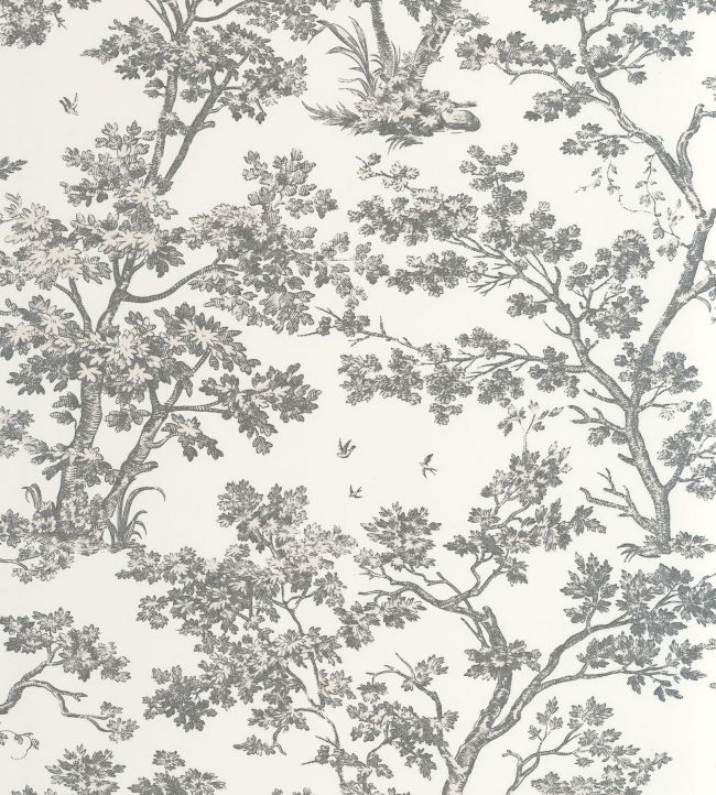 Arbre Wallpaper by Casadeco Noir Fusain