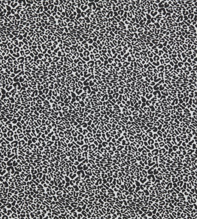 Arcata Fabric by Clarke & Clarke Ebony