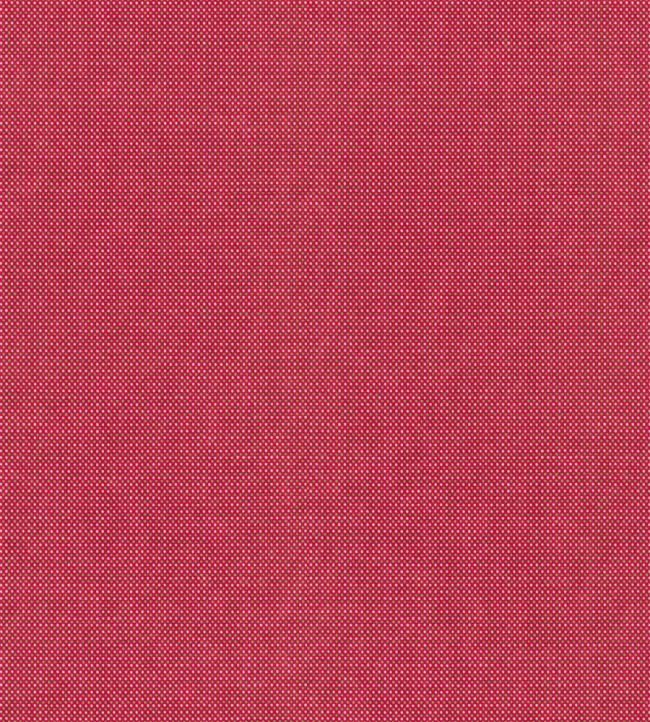 Arden Fabric by Wemyss Spice