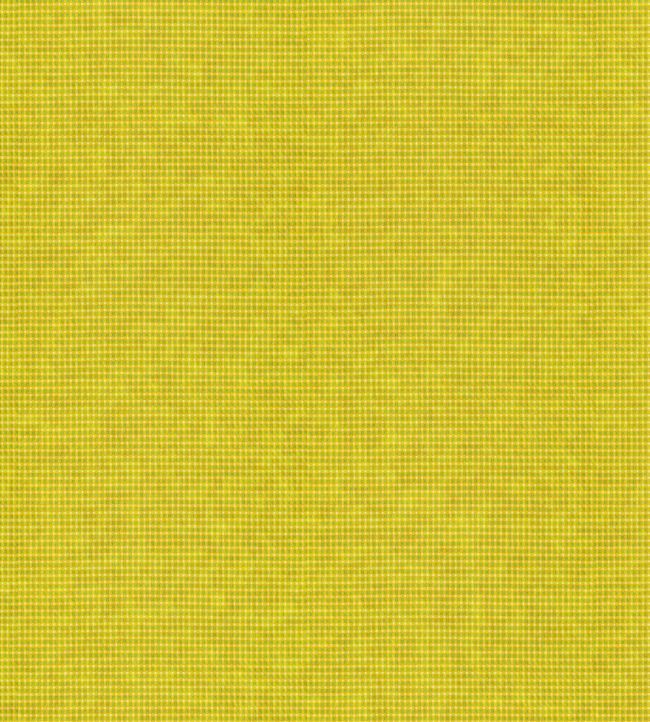Arden Fabric by Wemyss Zest