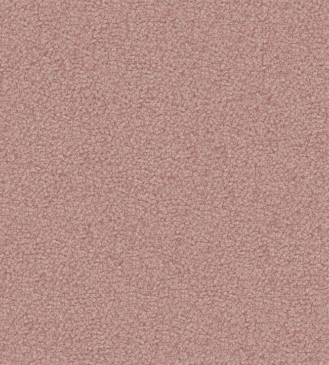 Aria Fabric by Designers Guild Blossom