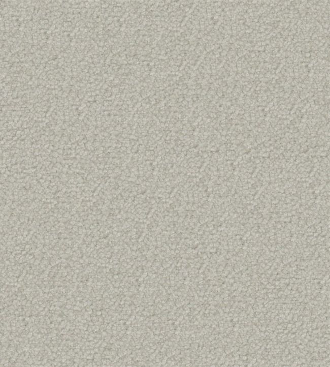 Aria Fabric by Designers Guild Cloud