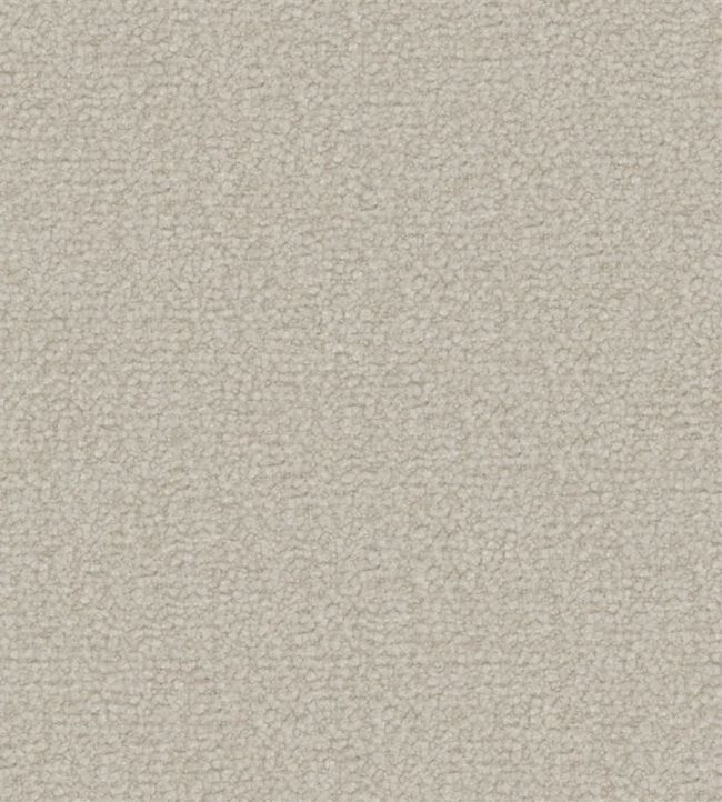 Aria Fabric by Designers Guild Ecru
