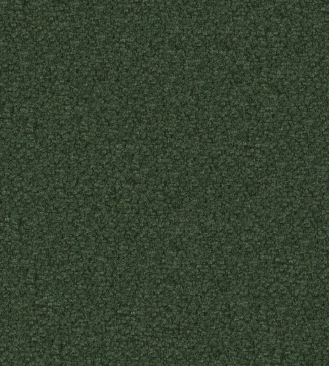 Aria Fabric by Designers Guild Fir