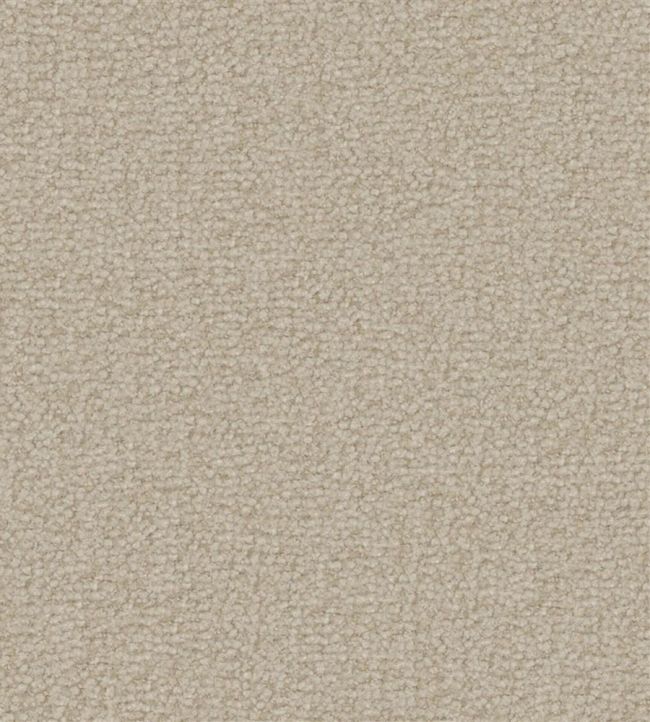 Aria Fabric by Designers Guild Linen