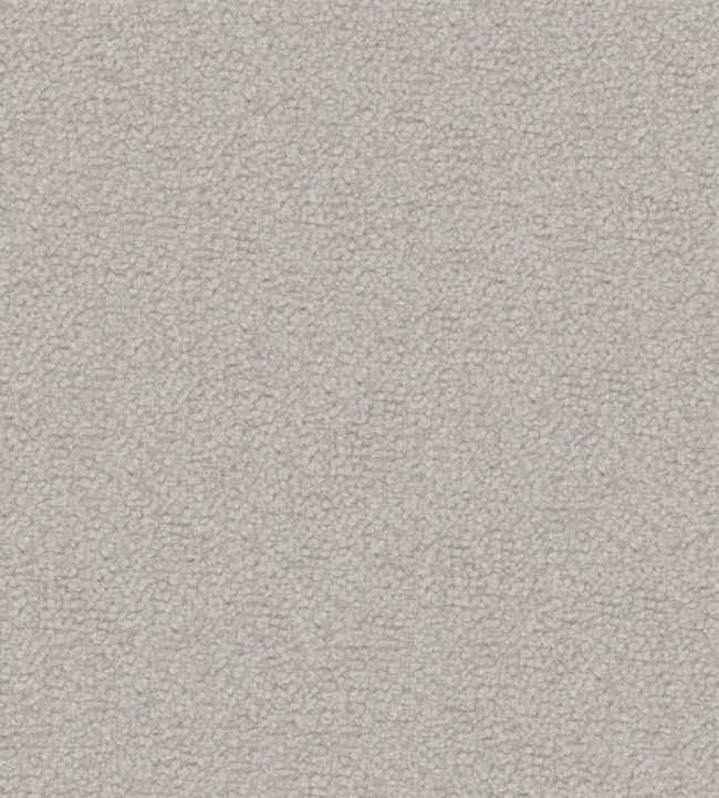 Aria Fabric by Designers Guild Silver