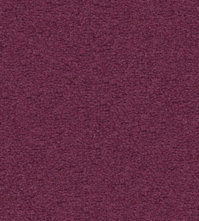 Aria Fabric by Designers Guild Viola