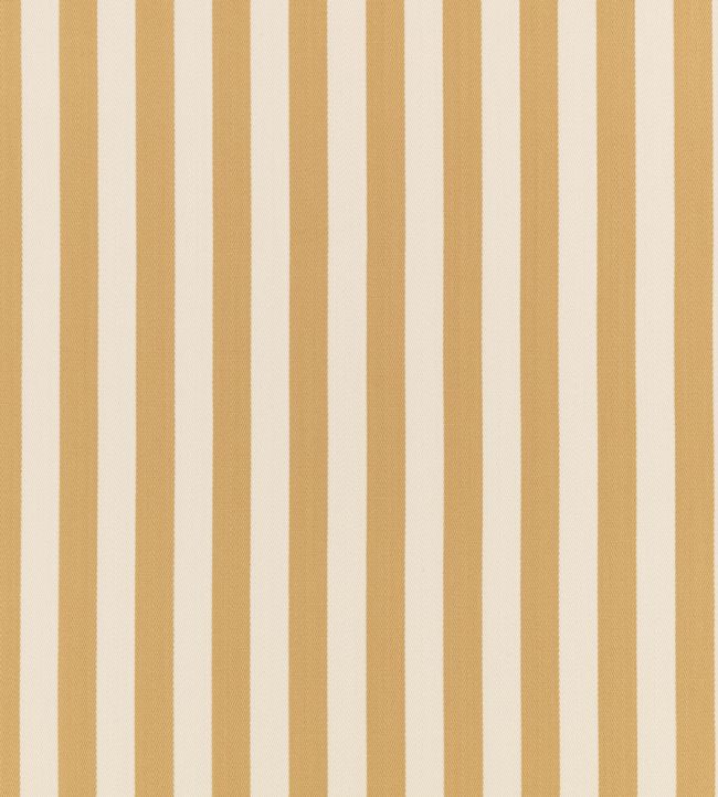 Arie Fabric by Romo Ochre