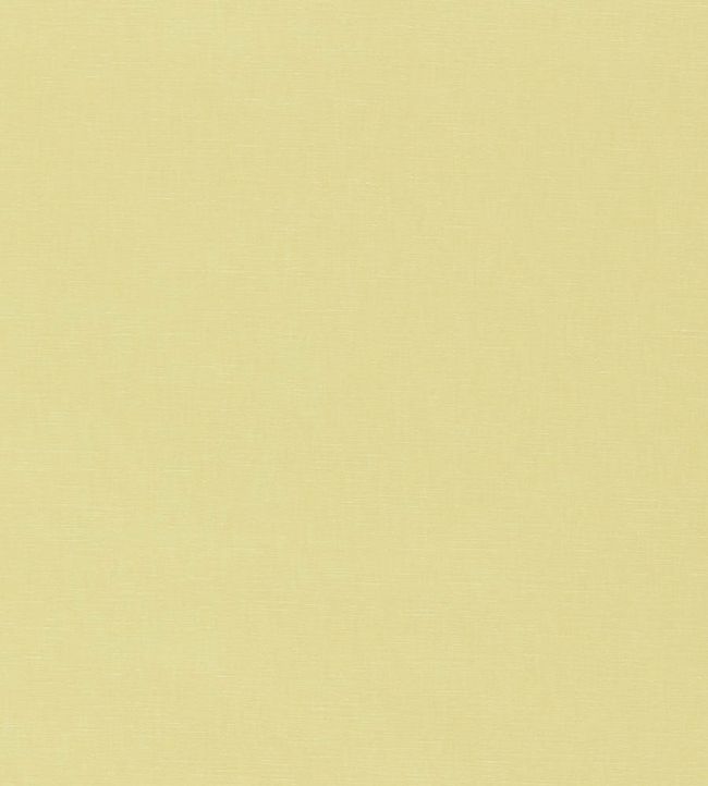 Ario Wide Width Fabric by Harlequin Buttermilk