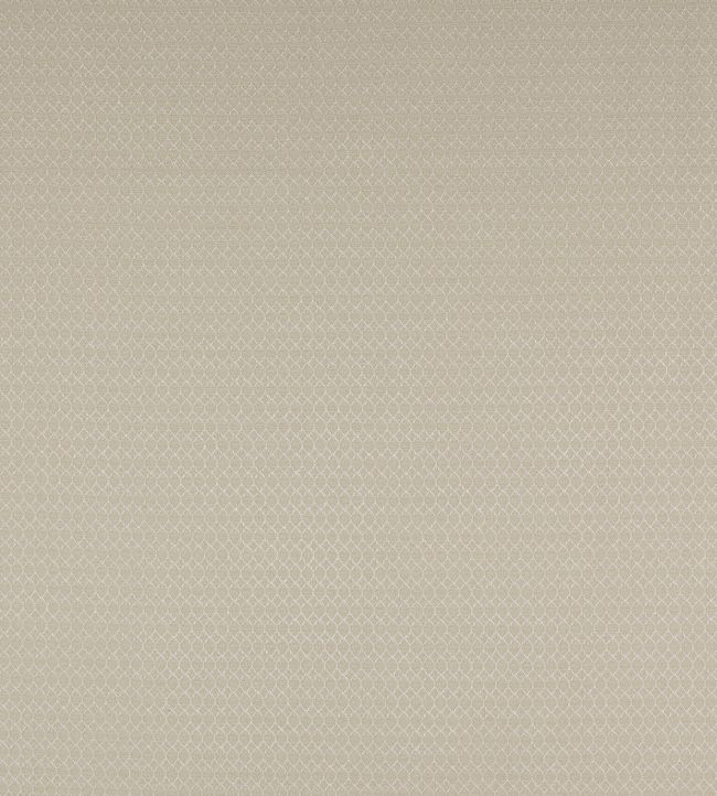 Arlette Fabric by Colefax and Fowler Ivory