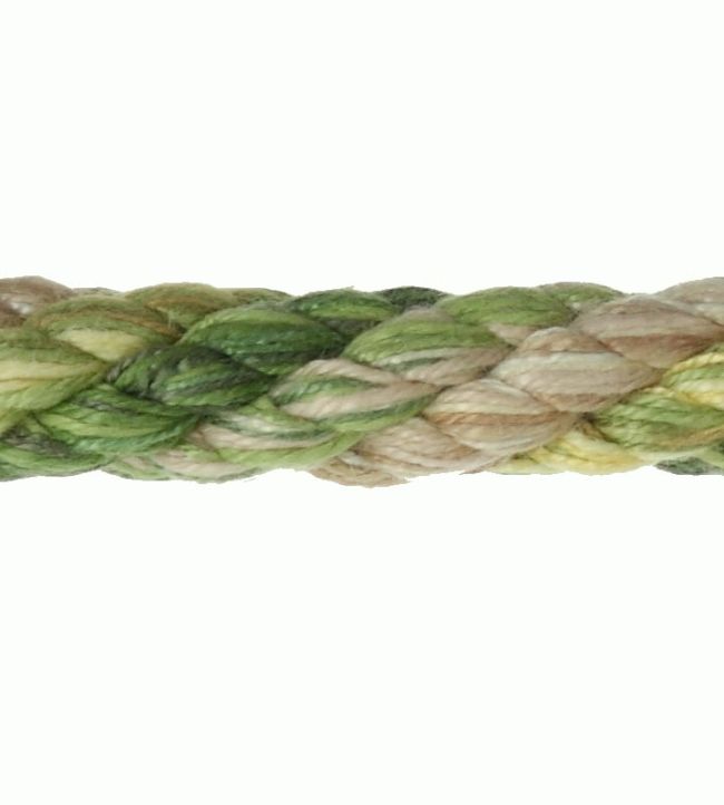 Arlington Rope Trimming by Colefax and Fowler Leaf Green