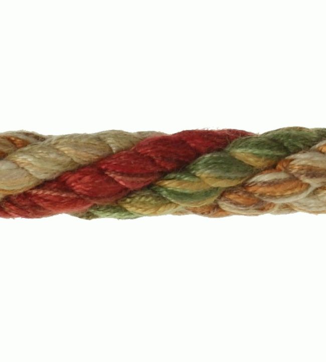 Arlington Rope Trimming by Colefax and Fowler Tomato/Olive