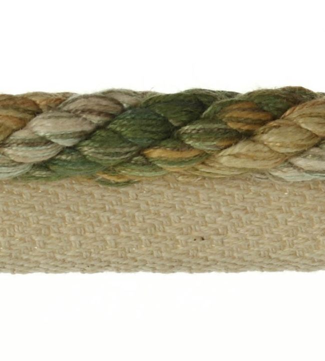 Arlington Rope Flanged Trimming by Colefax and Fowler Green