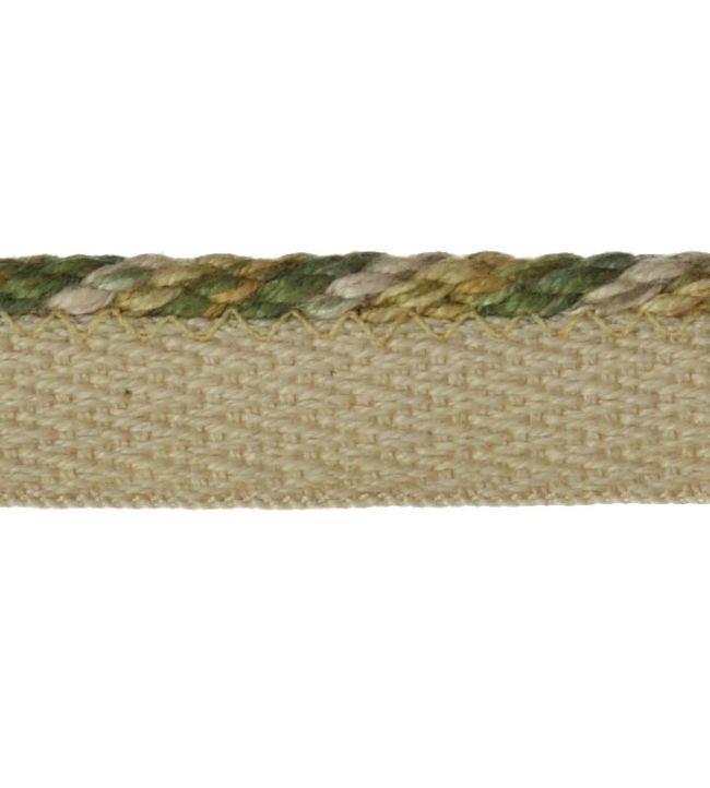 Arlington Small Rope Trimming by Colefax and Fowler Green