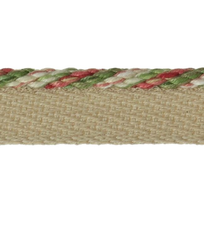 Arlington Small Rope Trimming by Colefax and Fowler Pink/Green