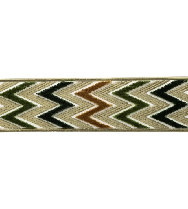 Arlo Velvet Border Trimming by Samuel & Sons Green Jasper