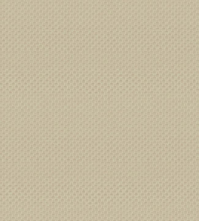 Pantheon Wallpaper by Armani Casa 9242