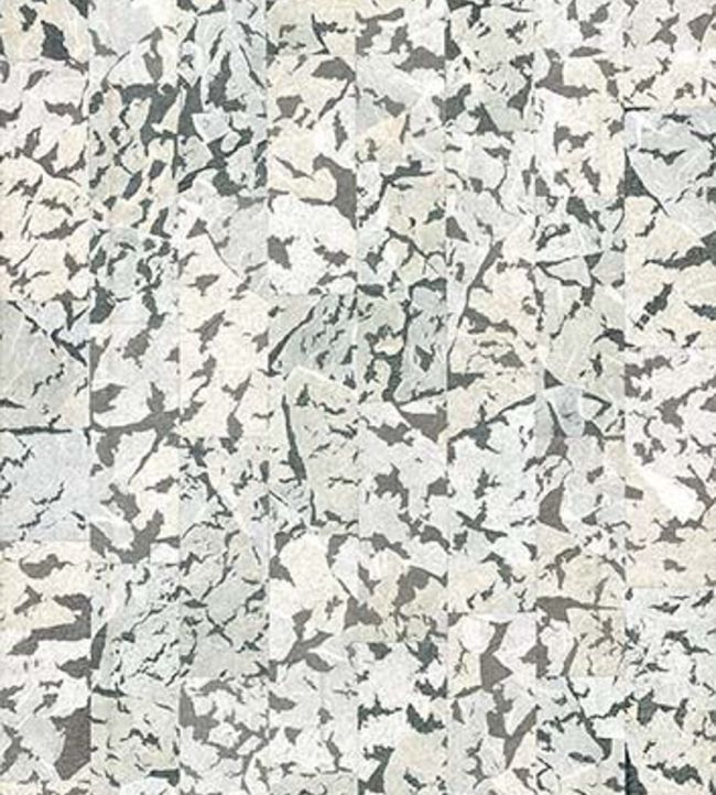 Armoured Boar Wallpaper by Moooi Black & White