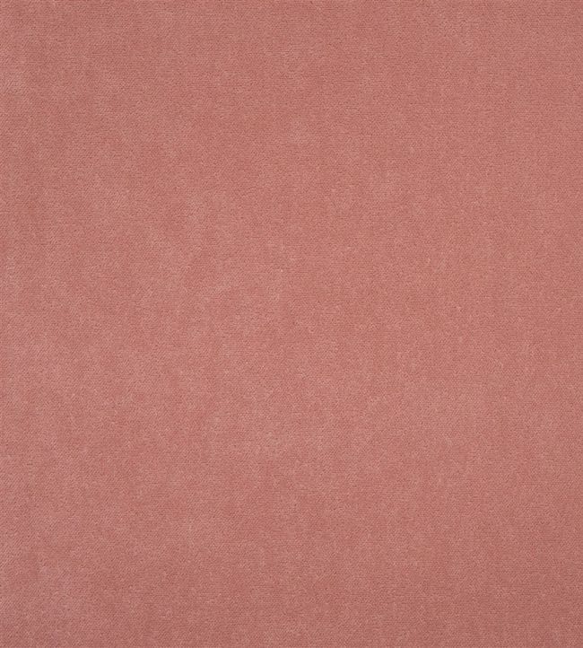 Arona Fabric by Designers Guild Blossom