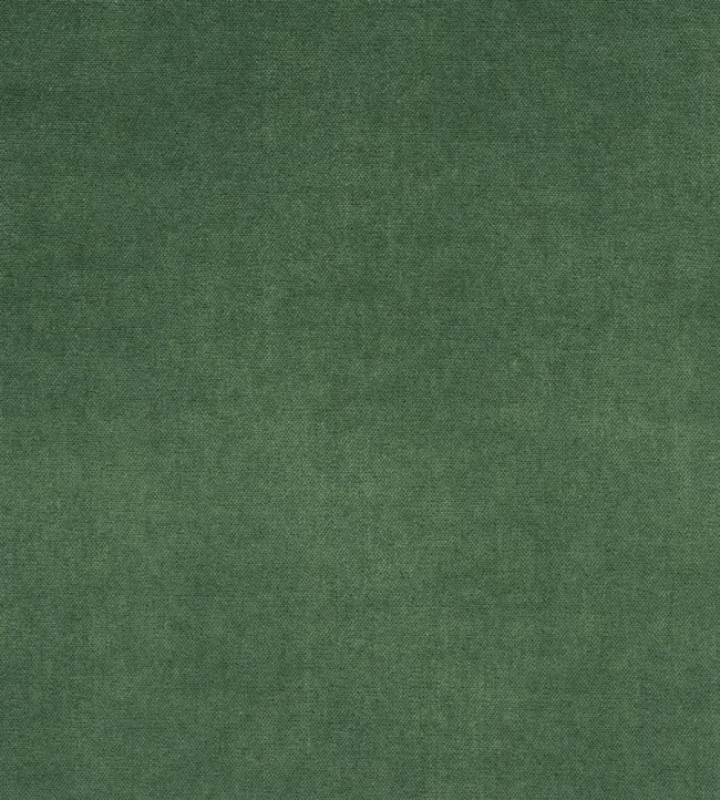 Arona Fabric by Designers Guild Forest