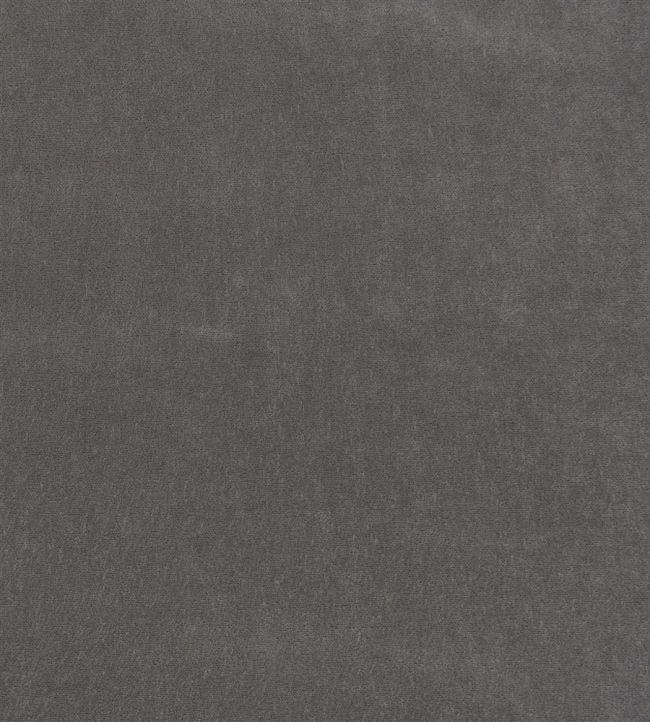 Arona Fabric by Designers Guild Graphite