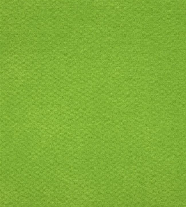 Arona Fabric by Designers Guild Grass