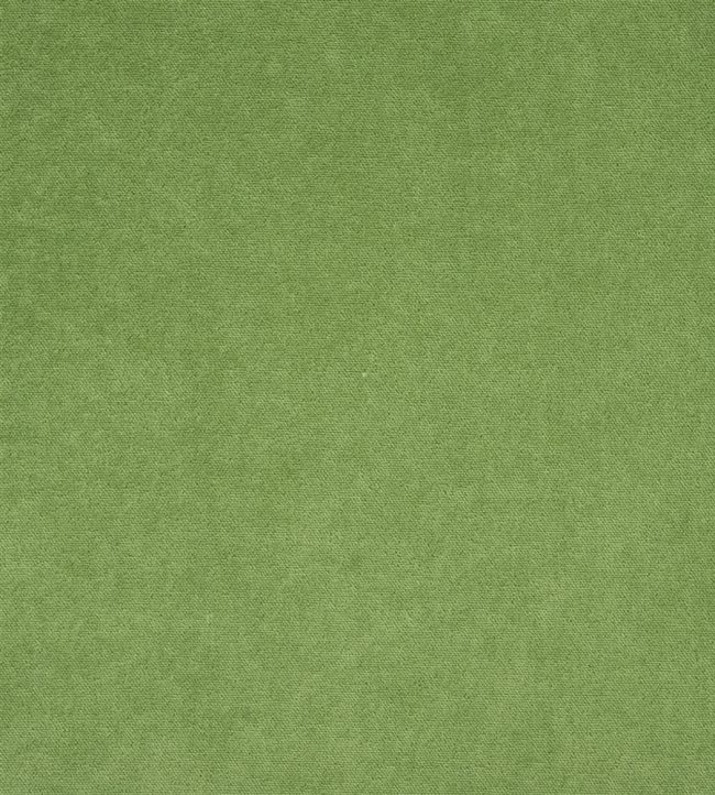 Arona Fabric by Designers Guild Leaf
