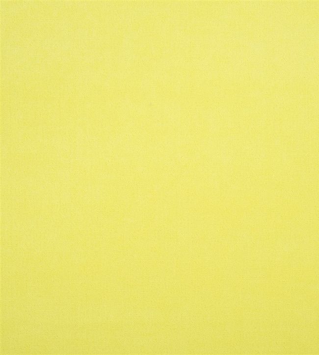 Arona Fabric by Designers Guild Lemon
